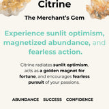 MORE IS MORE NECKLACE | Brazilian Citrine nuggets